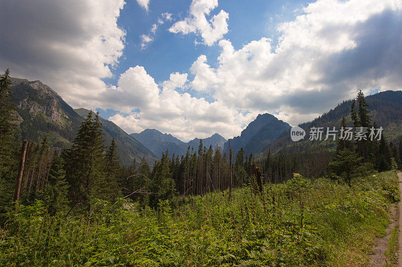 塔特拉山脉 - 扎科帕内 - 波兰